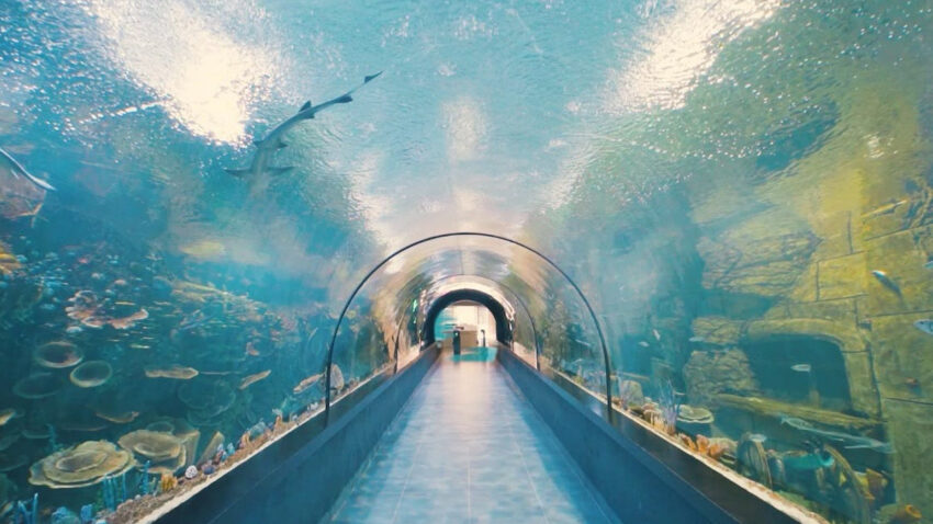 Trabzon tunel akvaryum turistlerin gozde rotasi haline geldi avehMUqf.jpg