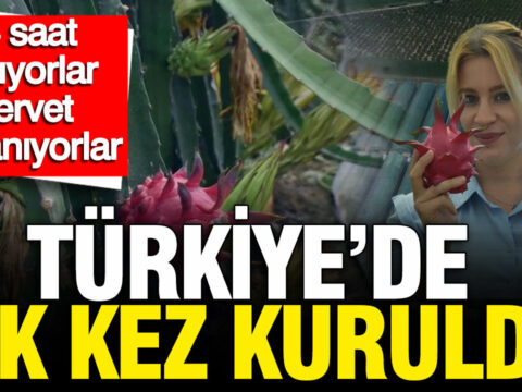 Turkiyede ilk kez kuruldu geceleri 4 saat aciyorlar servet kazaniyorlar eyl4pfQj.jpg