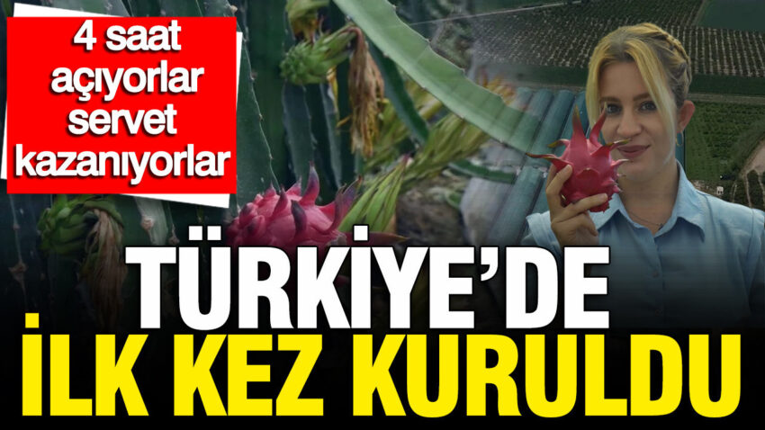 Turkiyede ilk kez kuruldu geceleri 4 saat aciyorlar servet kazaniyorlar eyl4pfQj.jpg