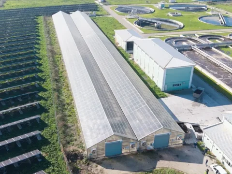 Turkiyede oncu proje aritma camuru enerjiye ve toprak duzenleyiciye donusecek Gb6w5bqz.webp
