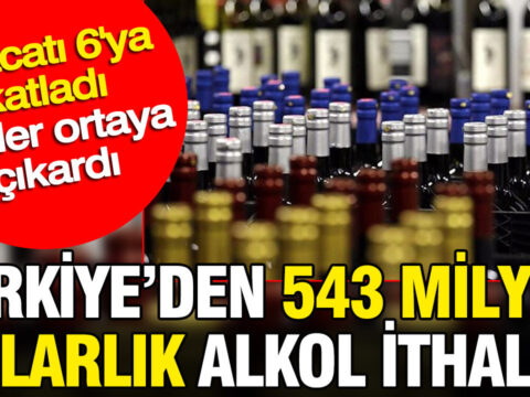 Turkiyeden 543 milyon dolarlik alkol ithalati ihracati 6ya katladi veriler ortaya cikardi KIhSffez.jpg