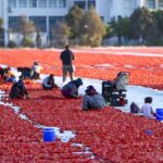 Turkiyenin lezzeti dunyayi fethetti 91 ulkeye kapis kapis satiliyor UaApDplT.jpg