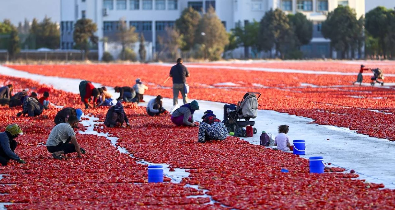 Turkiyenin lezzeti dunyayi fethetti 91 ulkeye kapis kapis satiliyor UaApDplT.jpg