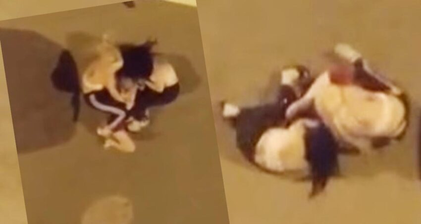 Uc kadin birbirine girdi gece yarisi mahalleyi ayaga kaldirdilar sjrAHrNH.jpg