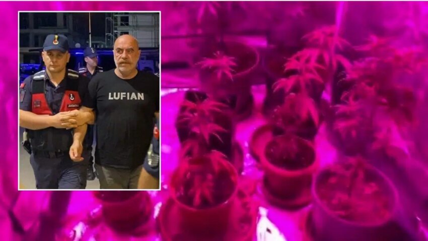 Ultraviole isik ve iklimlendirme sistemi yonetmen ezel akayin evinden sok goruntuler kenevir tarlasina cevirmis qYX69aph.jpg