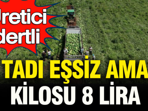 Uretici dertli tadi essiz ama kilosu 8 lira tNx3dW9m.jpg