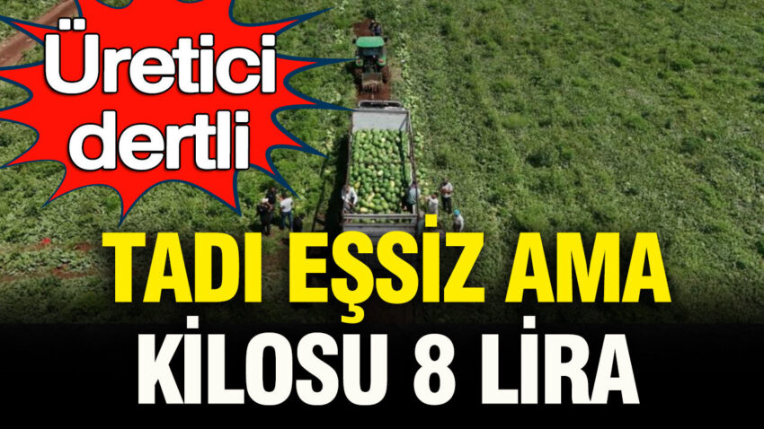 Uretici dertli tadi essiz ama kilosu 8 lira tNx3dW9m.jpg