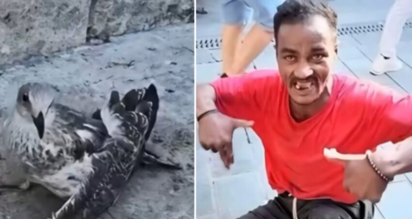 Uskudardan gelen goruntuler sosyal medyayi ayaga kaldirdi n8FQye28.jpg