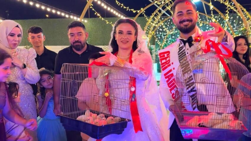 Ustadan evlenen ciragina sira disi dugun hediyesi altin yerine bakin ne verdi Jck4NcD1.jpg