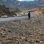 Vanda tonlarcasi dogaya birakildi ama buyuk felakete yol acacak swpeHIBF.jpg