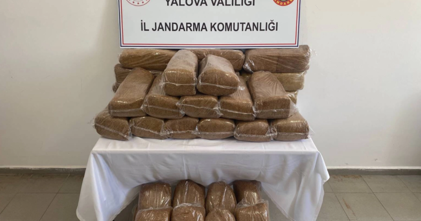Yalovada 160 kilogram bandrolsuz tutun ele gecirildi KVYFmgB2.webp