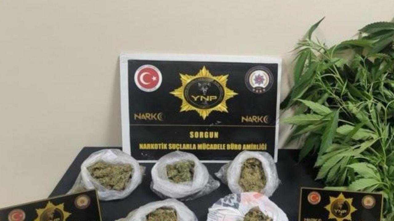 Yozgat’ta narkotikten uyuşturucu operasyonu!