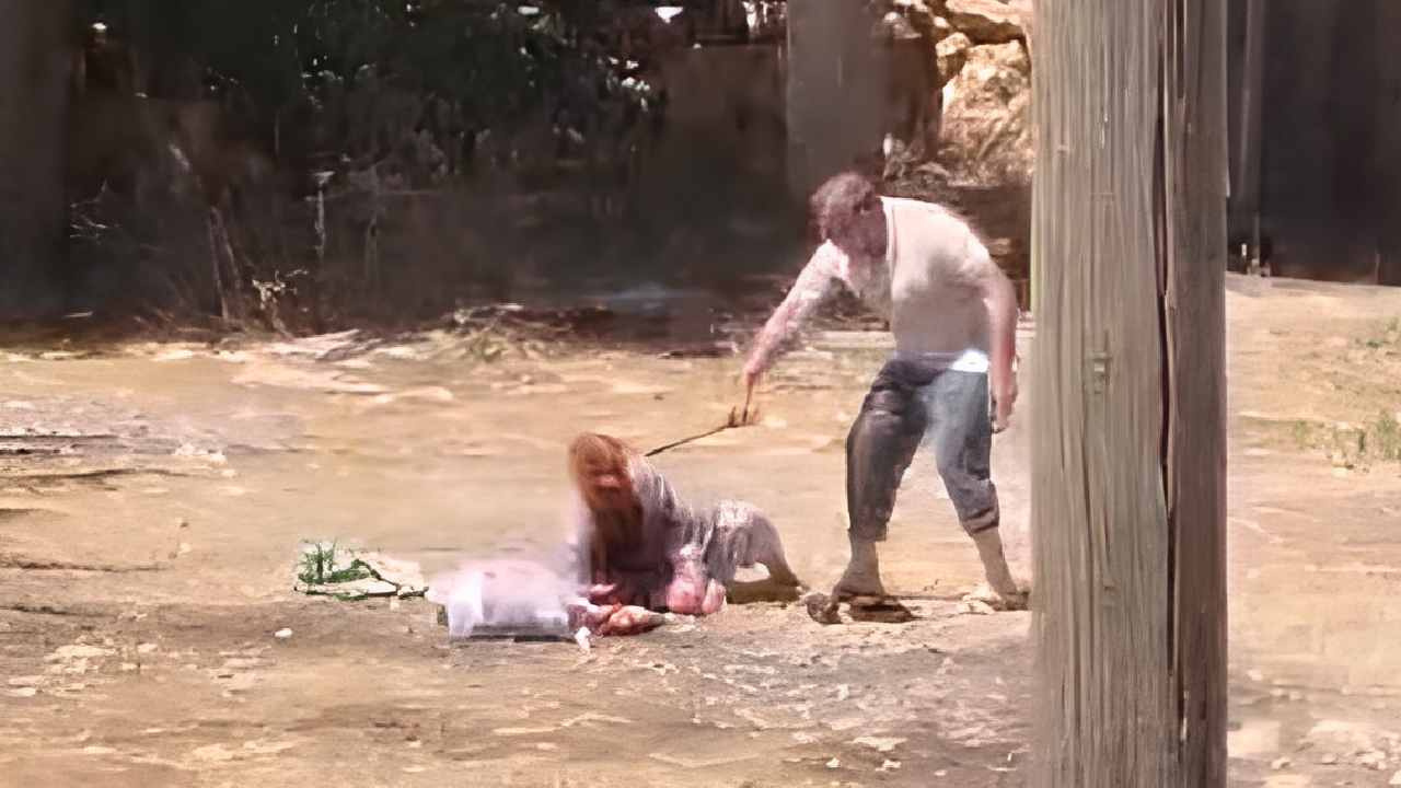 85 yaşındaki annesini acımasızca dövdü! İsviçre’de eşini katledip 15 sene hapis yatıp gelmiş