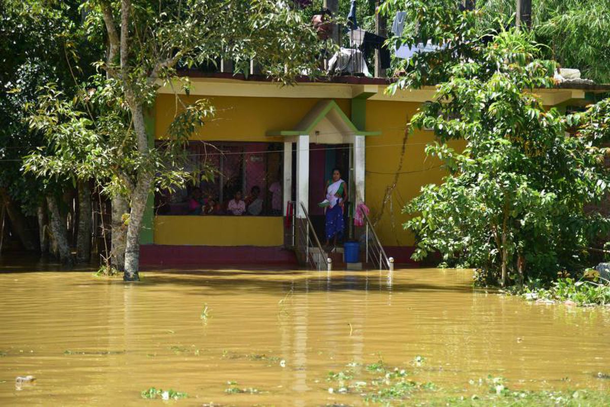 Assam’da Sel Felaketi: Ölü Sayısı 100’e Ulaştı