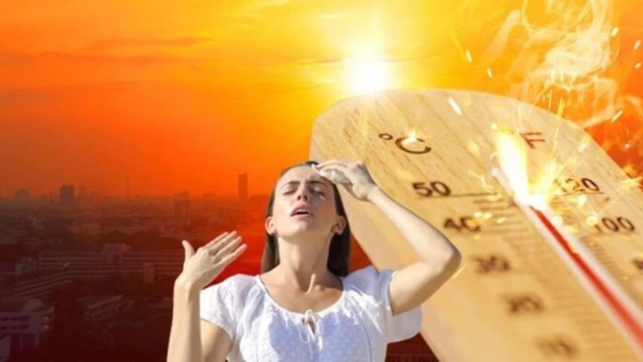 belcikada-sicak-hava-alarmi-termometreler-35-dereceye-dayanacak-B22JkgEs.jpg