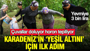 karadenizin-yesil-altini-icin-ilk-adim-yevmiye-3-bin-lira-cuvallar-doluyor-horon-tepiliyor-XMqDROKN.jpg