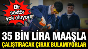 sanayide-35-bin-lira-maasla-calistiracak-cirak-bulamiyorlar-CLS7V5fL.jpg