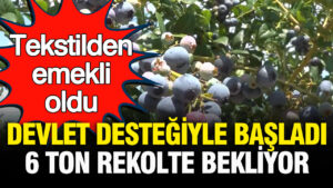 tekstilden-emekli-oldu-devlet-destegiyle-basladi-6-ton-rekolte-bekliyor-TPz6d4wY.jpg