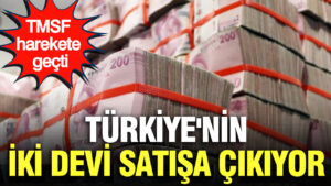 tmsf-harekete-gecti-turkiyenin-2-devi-satisa-cikiyor-G82I6NUY.jpg