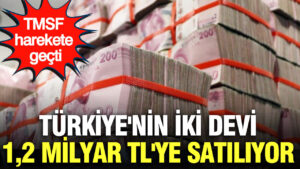 tmsf-harekete-gecti-turkiyenin-iki-devi-12-milyara-satiliyor-34DSyn5B.jpg