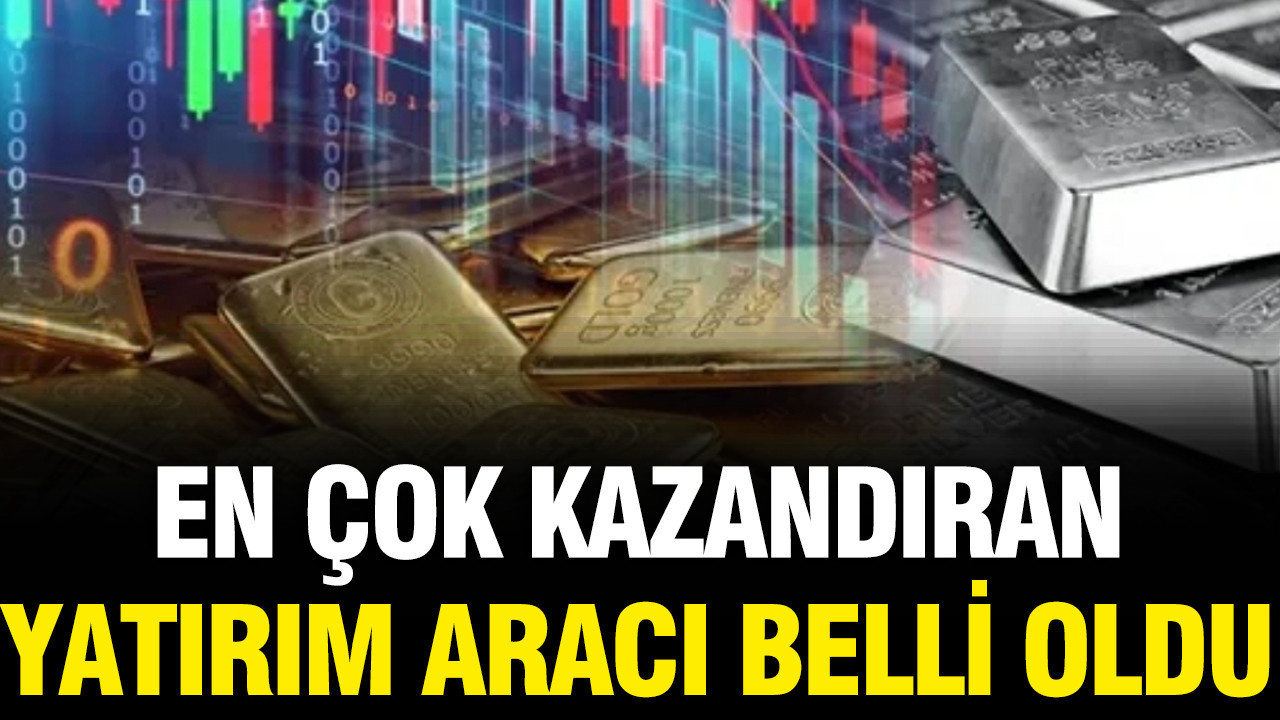 TÜİK Temmuz ayında en çok kazandıran yatırım aracını açıkladı