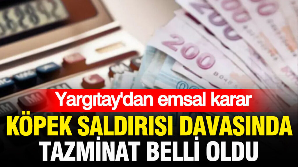 yargitaydan-emsal-karar-kopek-saldirisi-davasinda-tazminat-belli-oldu-pRXd8dnZ.jpg