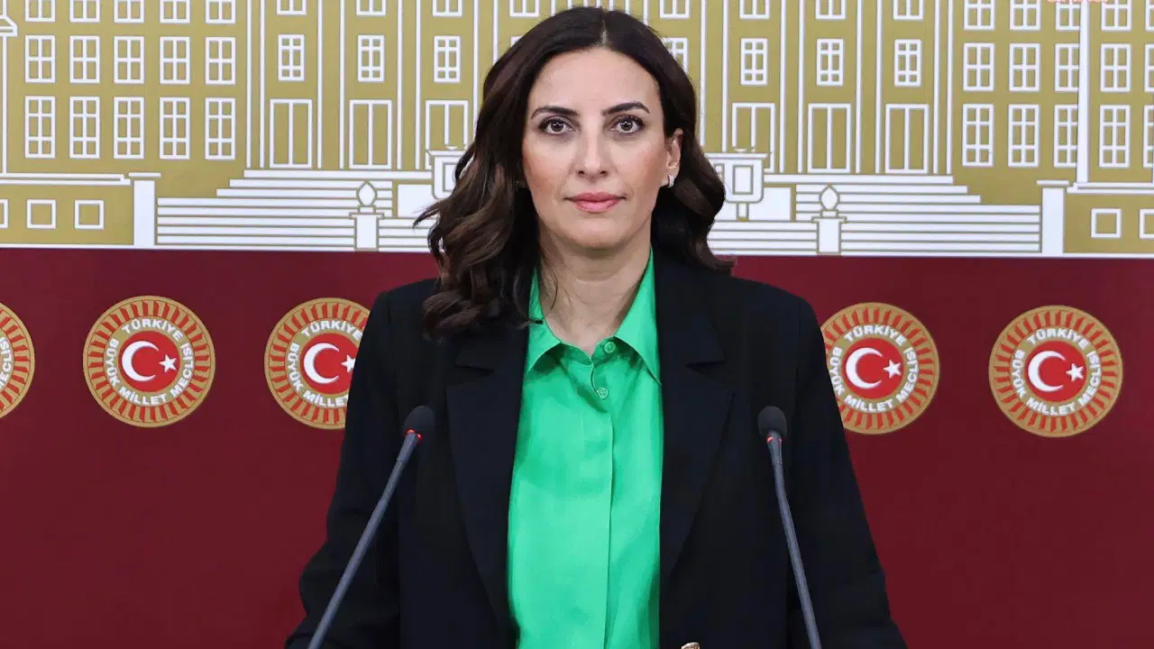 YENİ Partili Evrim Rızvanoğlu’ndan iktidara çevre politikası eleştirisi: ‘Doğayı değil rantı önceleyen sistem kuruldu’