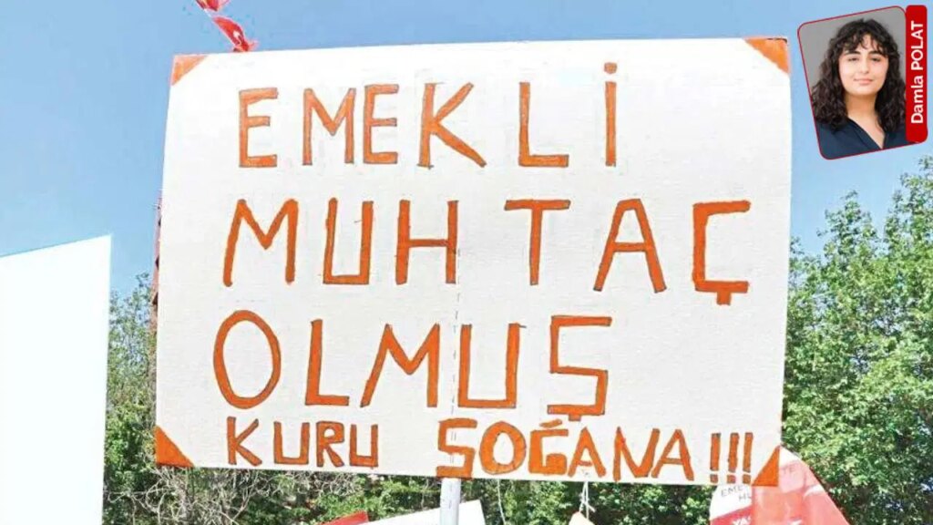 yetersiz-aylik-ve-artan-yasam-maliyetleri-65-yas-uzerindeki-yurttasi-calismaya-zorluyor-emekli-olumune-9g9Pn6VD.jpg