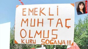 yetersiz-aylik-ve-artan-yasam-maliyetleri-65-yas-uzerindeki-yurttasi-calismaya-zorluyor-emekli-olumune-9g9Pn6VD.jpg